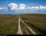 Walking in the South Downs National Park, Sussex